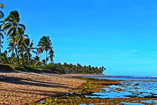 Praia do Forte - Bahia