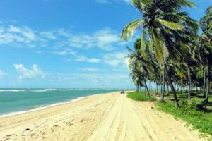Praia do Gunga - Maceió