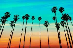 los angeles coqueiros