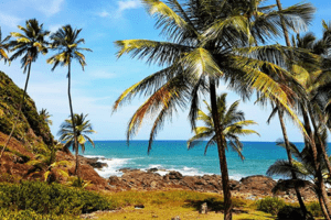 destino nordeste 2018