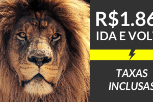 promoção de passagens áfrica do sul