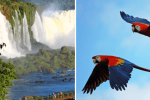 foz do iguaçu e bonito