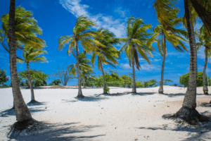 passagens nordeste ofertas