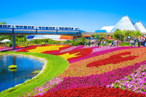 orlando promoção passagem aérea