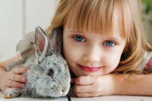 coelho promoção páscoa gol passagens