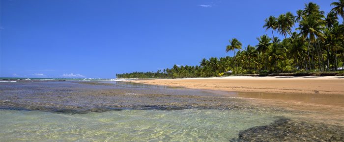 praia nordeste brasil