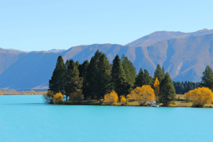 Nova Zelândia paisagem