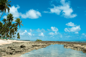 praia nordestina brasil