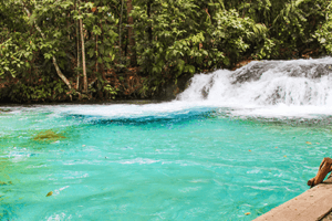 cachoeira do formiga
