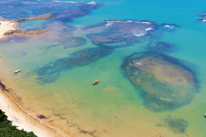 Praia no Nordeste do Brasil