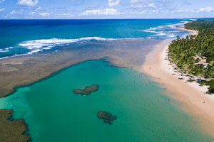 Praia Nordeste Bahia