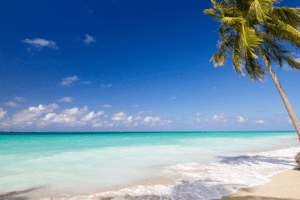 Brasil Nordeste Alagoas