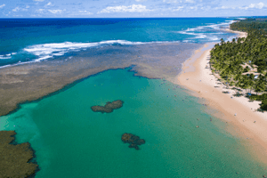 Linda praia nordestina