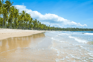 Nordeste Bahia praia