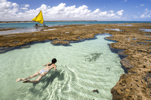 piscinas naturais pernambuco