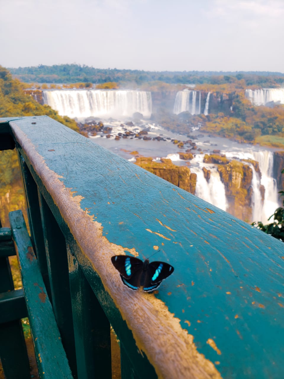 Cataratas e a borboleta