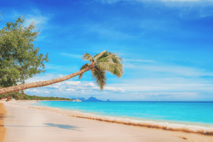 Caribe praia maravilhosa