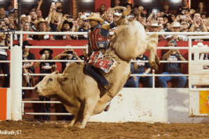 festa de peão barretos