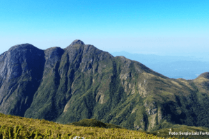 pico do pr