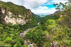 chapada dos veadeiros ok