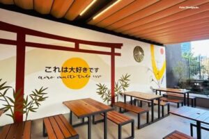 mcdonalds tematico capa