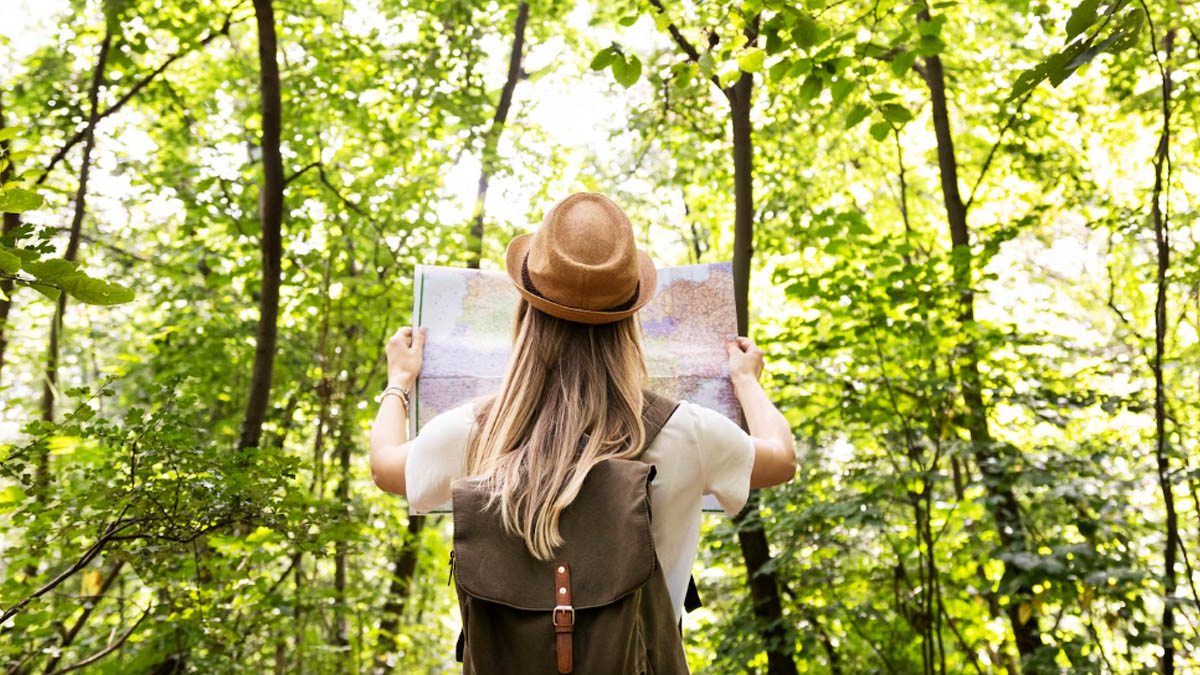 ecoturismo brasil