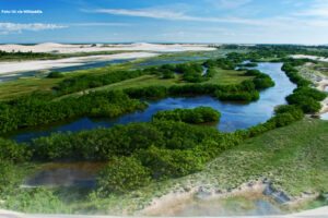 jeri parque nacional