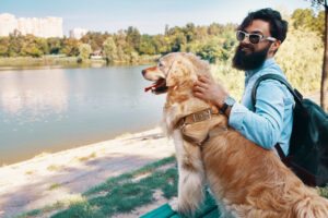 viagem com pet