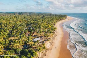 reveillon tikal 2024