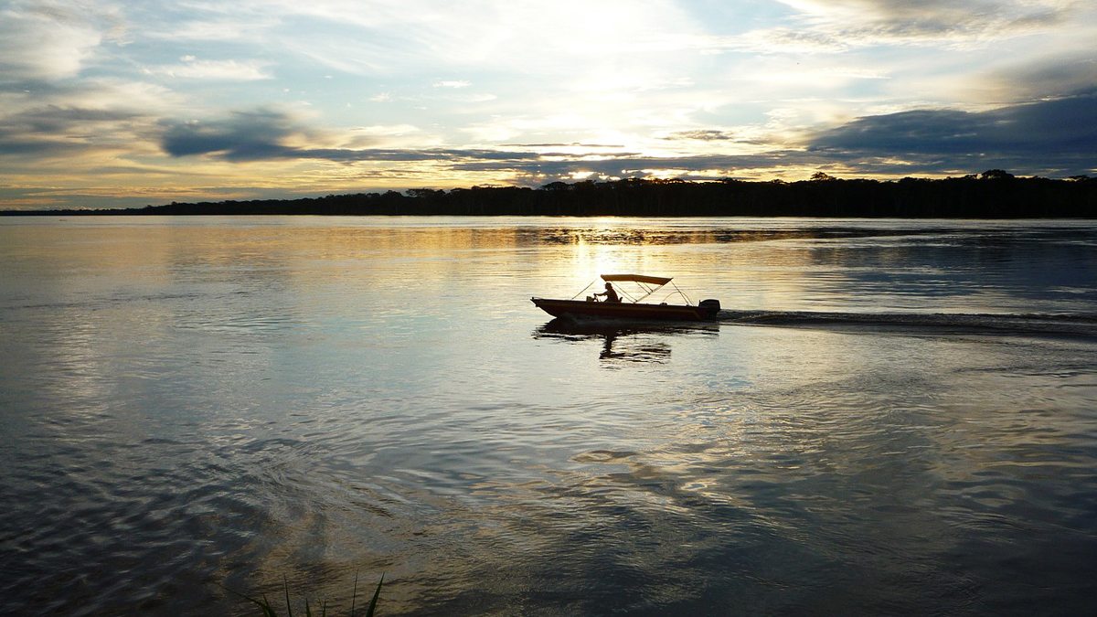 amazonia capa