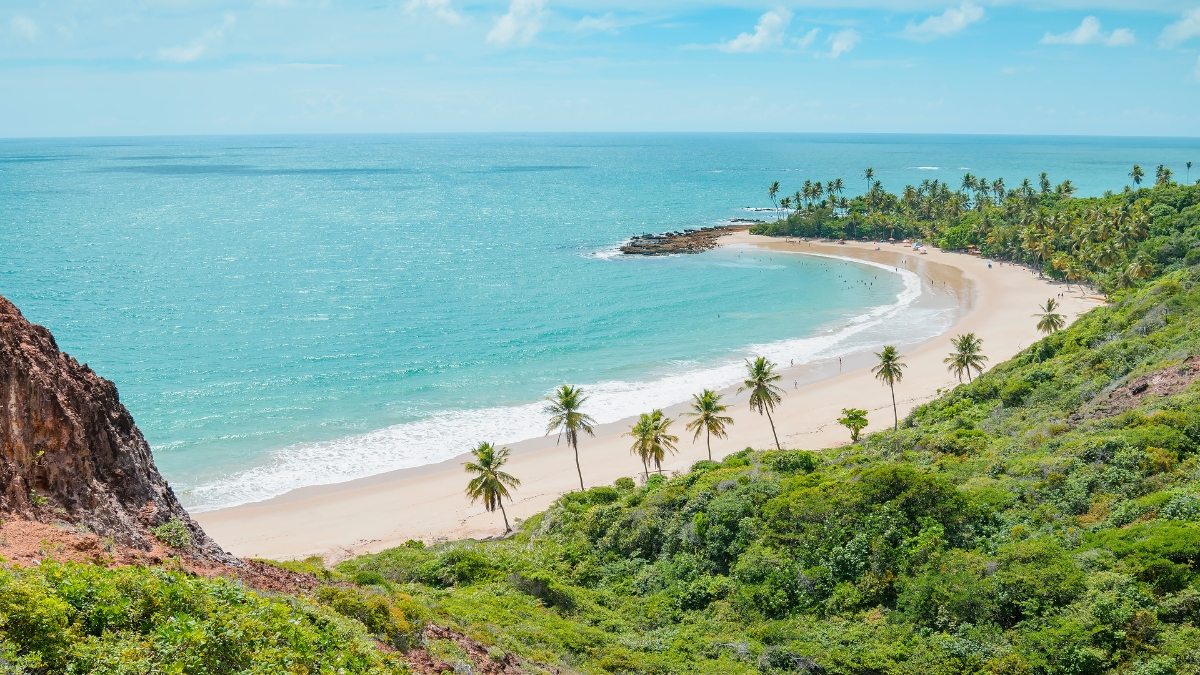 destino do brasil