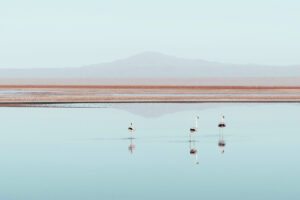 deserto do atacama chile