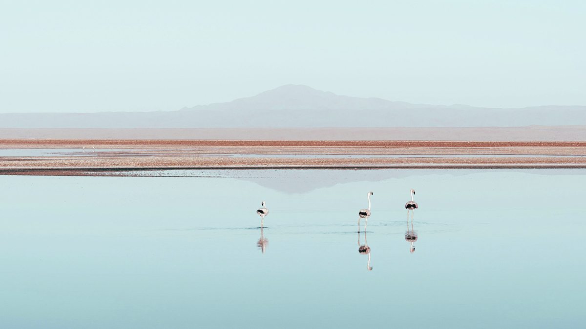 deserto do atacama chile