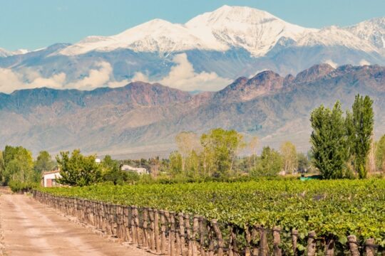 Mendoza - Argentina
