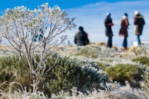 Natureza congelada em Urubici SC