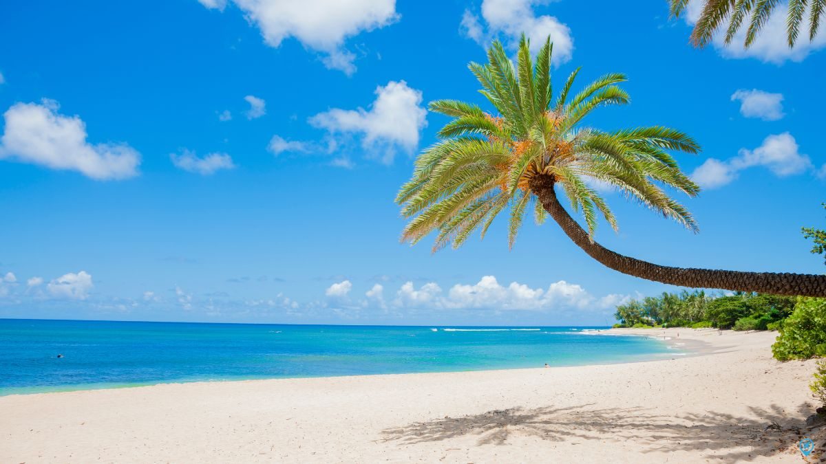 Praia no Havaí