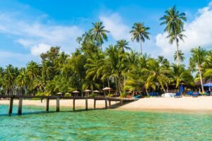 mar e coqueiros na praia