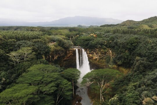 Chapada dos Veadeiros
