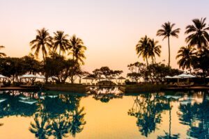 piscina com palmeiras