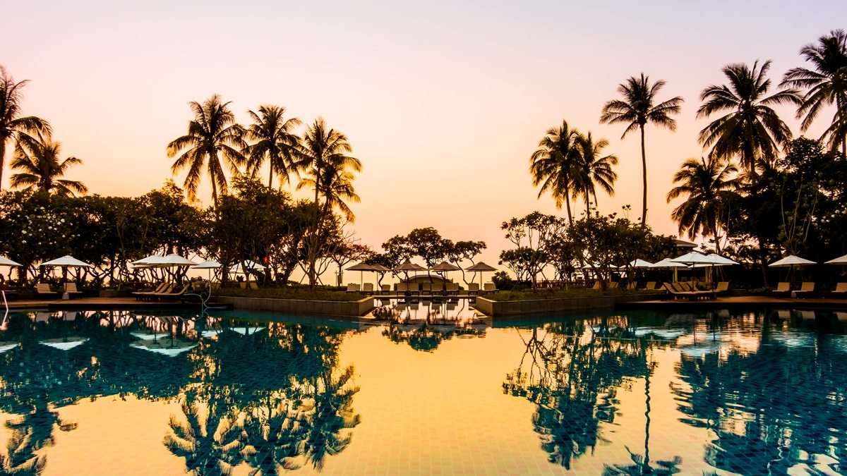 piscina com palmeiras