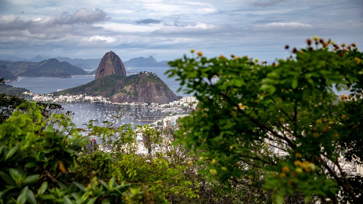 pão de açúcar