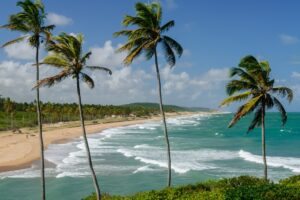 Praia paradisíaca no Nordeste do Brasil