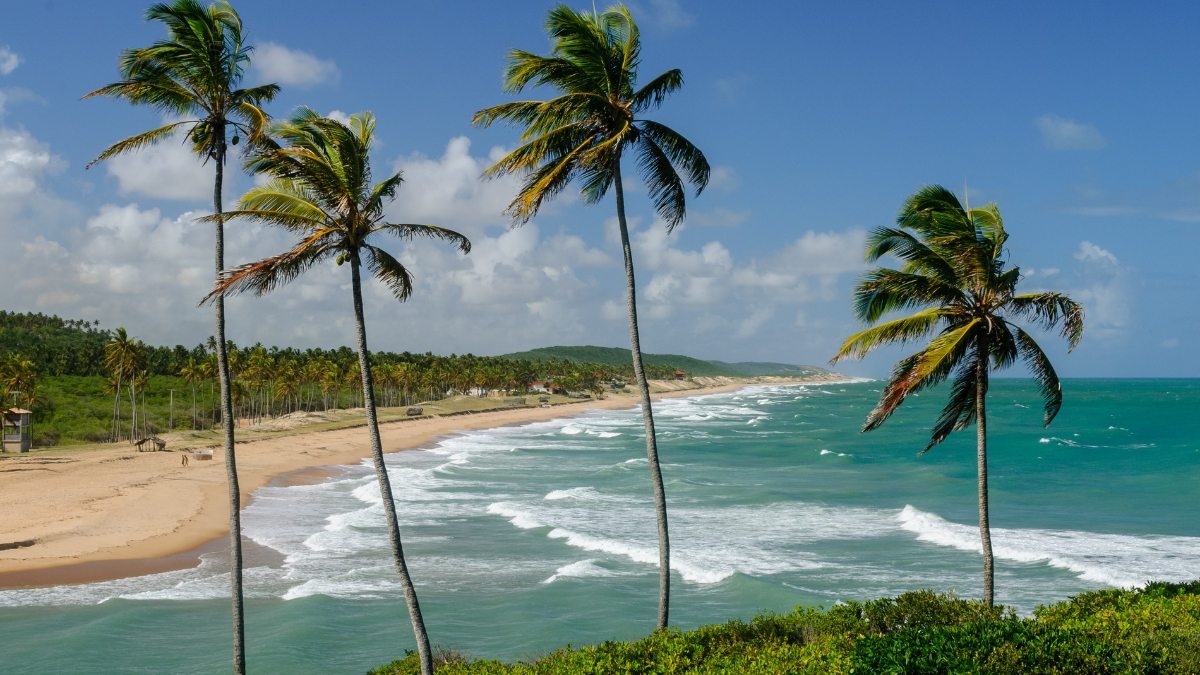 Praia paradisíaca no Nordeste do Brasil