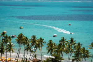 Praia em Maragogi - AL