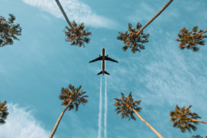 Avião sobrevoando palmeiras sob céu azul.