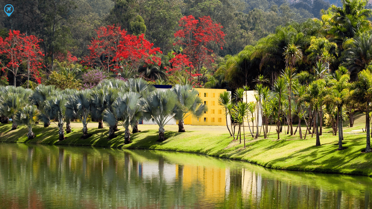 Instituto Inhotim