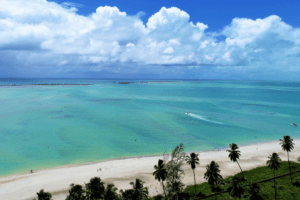 Vista aérea de praia no litoral do Nordeste brasileiro