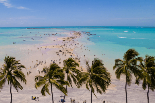 Linda paisagem nordestina