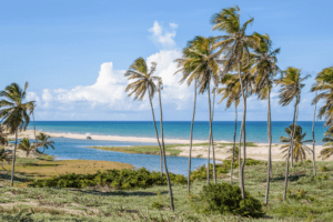 Praia nordestina
