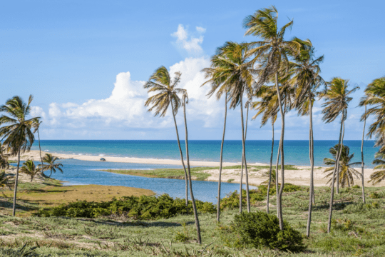 Praia nordestina